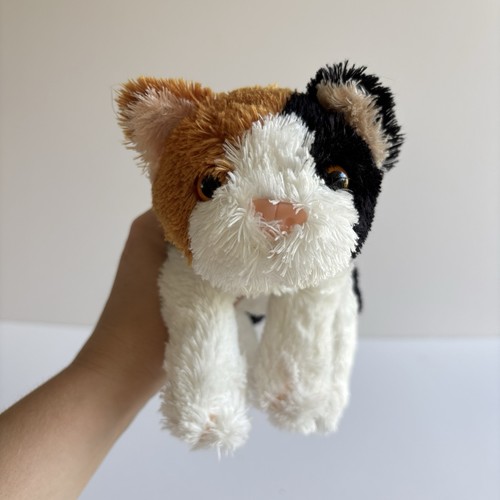 Kid connection calico cat - connection,