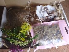 Hermit Crab Treet Pack, 1