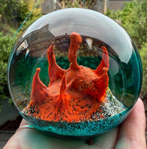 Caithness paperweight painted - caithness,