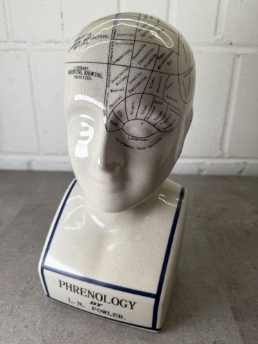Phrenology head fowler - head,