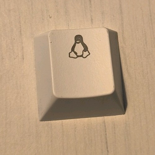 Linux penguin tux - penguin,