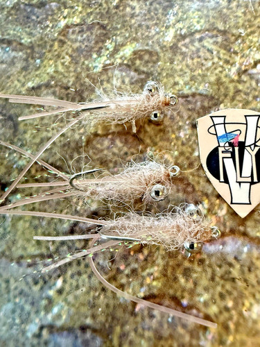 Fly size 8 - v,