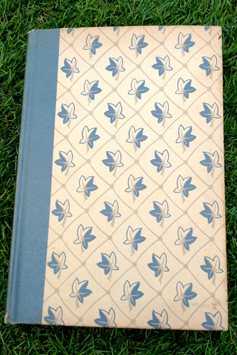 Shorter pepys diary - diary, extracts
