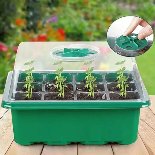 Cell seed tray with lid - 12,