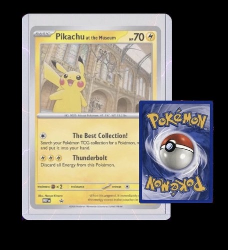 Jumbo toploader pokémon - jumbo,