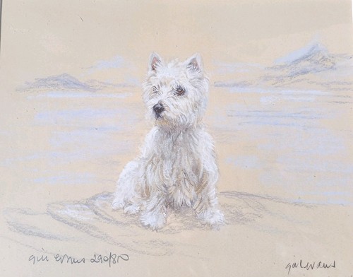Framed gill evans limited - framed,