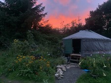 Hand-made Authentic Mongolian Yurt - 5m