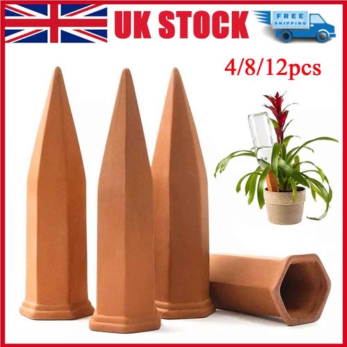 12pcs terracotta plant - terracotta,