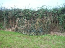Stealth ghost net - stealth, 4m