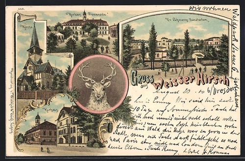 Lithograph dresden white deer - lithograph, dresden-white