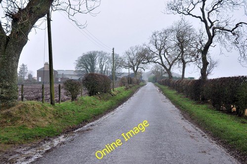 Photo 12x8 hamsterley - photo,