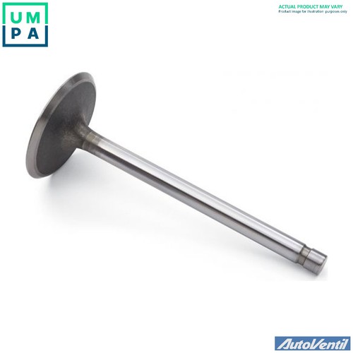 Intake valve v2033 - intake,