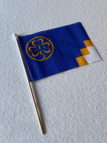 Girl guides hand waving - guides,