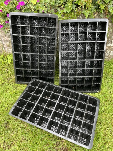 Cell plug plastic trays - 3,