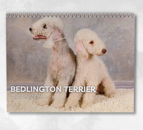 Bedlington terrier calendar - bedlington,
