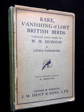 Rare, Vanishing & Lost British