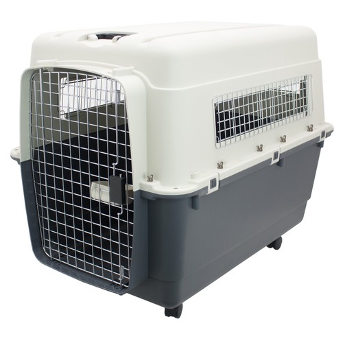 Airline approved plastic dog - approved,