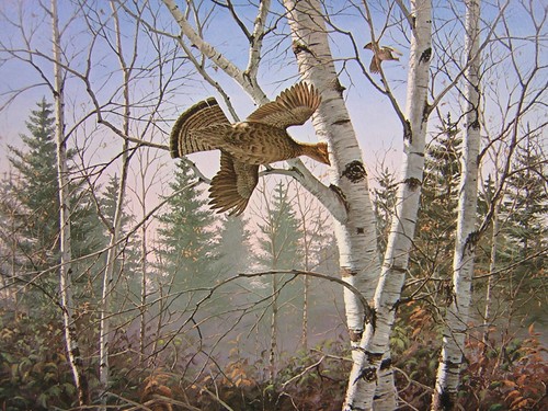 David maass woodlot - maass,