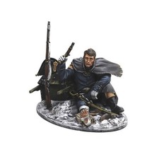 NAP0724 French Wounded Officer