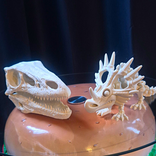 White plastic dinosaur skull - plastic,