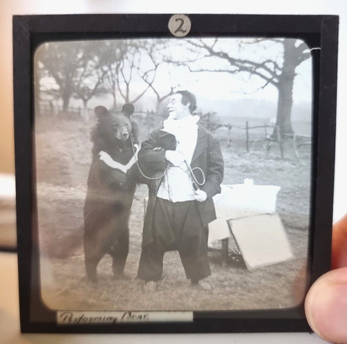 Magic lantern slides - slides,