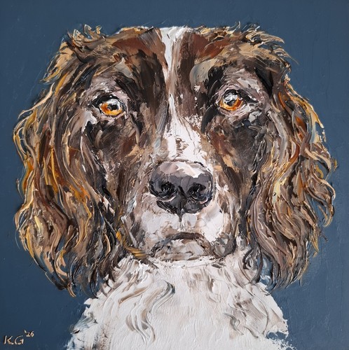 Springer spaniel portrait - spaniel,