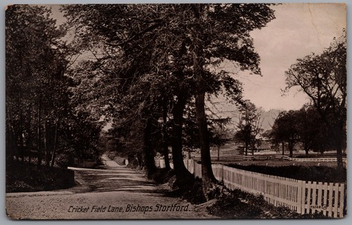 Bishops stortford - stortford,