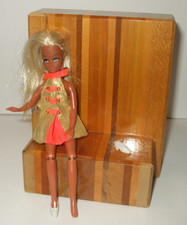 Palitoy Pippa 1970's Vintage