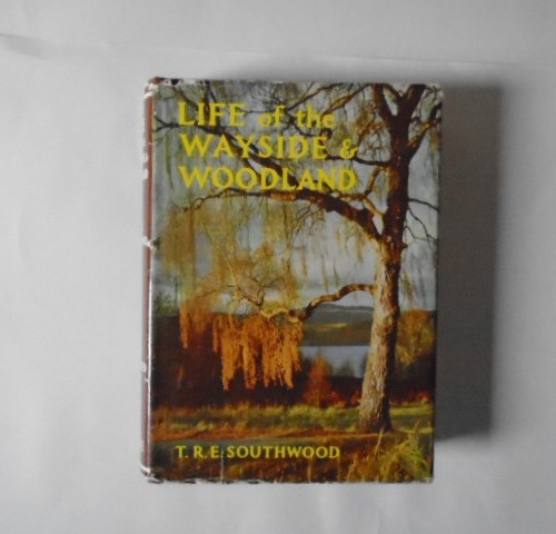 Life the wayside woodland - life,