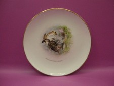 GRIMWADES BEATRIX POTTER PETER RABBIT and FRIENDS TOM KITTEN PLATE c 1920's.
