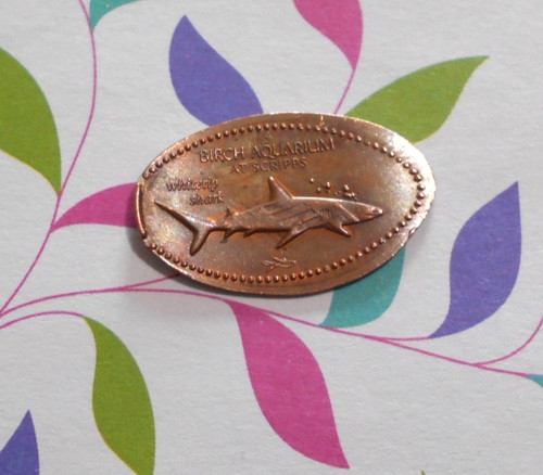 Birch aquarium elongated penny - elongated,
