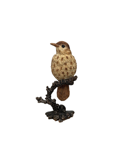 Bowbrook studios song thrush - bowbrook,