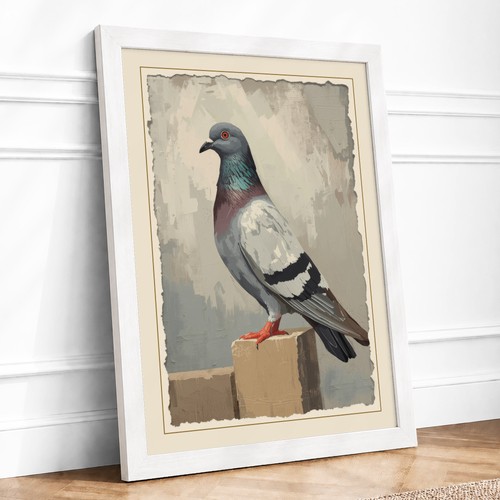 Pigeon study vintage framed - study,