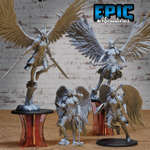 Valkyrie print d - v2,