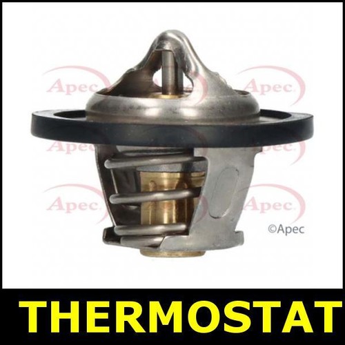 Thermostat for ford transit - for,