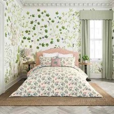 Sanderson Rubus Raspberry