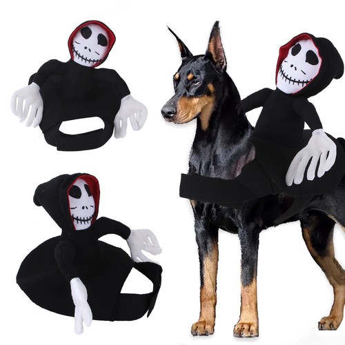 Halloween dog costume pet - halloween,