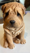 Retired Sandicast Dog Statue