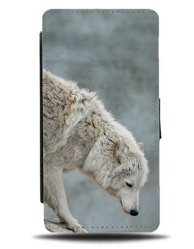 Artic wolf picture flip - wolf, wallet