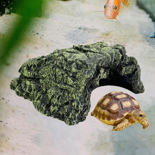 Turtles basking platform - basking,