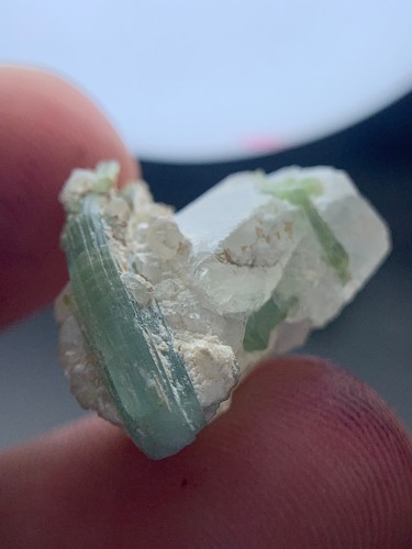 19cts combination thumbnail - 19cts,