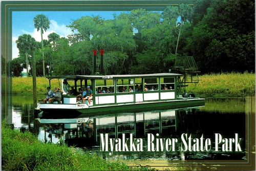 Airboat postcard sarasota - postcard,