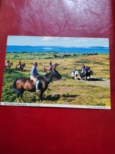 BUTLINS 3P5 PWLLHELI  HOLIDAY CAMP POSTCARD WALES