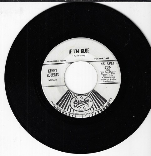 Kenny roberts blue - i'm, blue/fly