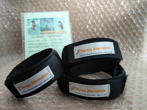 Mnetic band magnetised bands - mnetic-band,