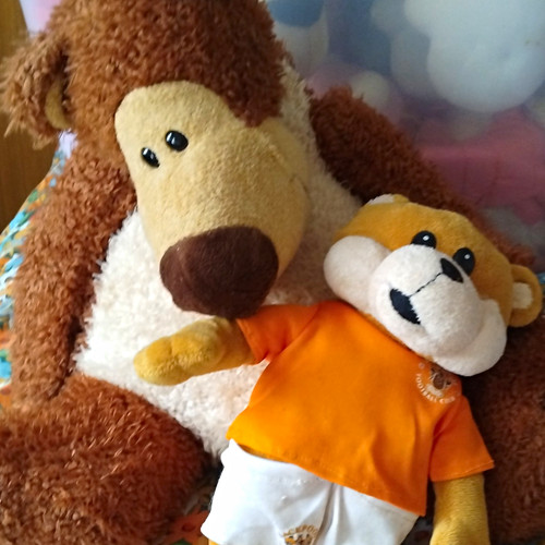 Card factory bloomfield bear - card,