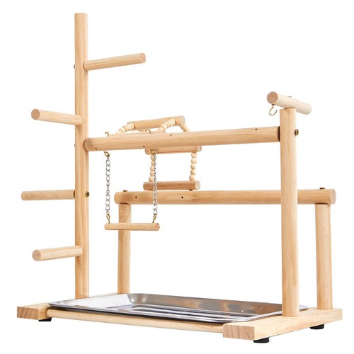 Parrot playground parrots play - parrot,