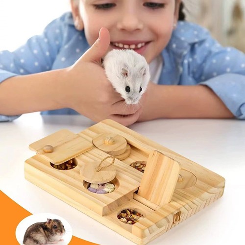 Hamster puzzle feeder toy - puzzle,