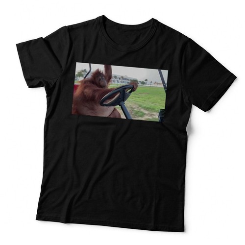 Orangutan driving golf cart - golf,