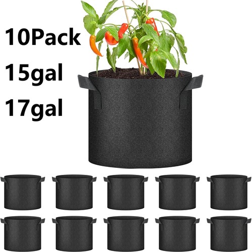 Pack gal plant - 17,